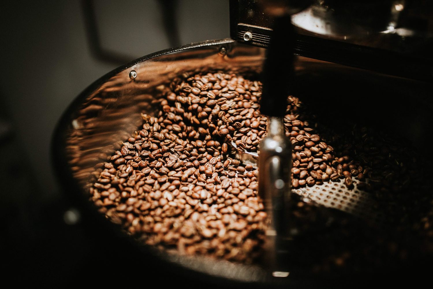 Freshly roasted beans turning in a drum roaster's cooling tray